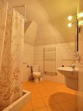 Курортные отели DW Halny Мужасихле Двухместный номер с 1 кроватью и собственной ванной комнатой-4